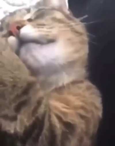 d&ouml;n&uuml;şm&uuml;yor :(