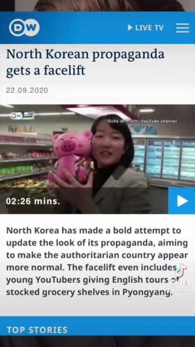 Please watch if you don&rsquo;t mind. North Korean propaganda on tiktok?