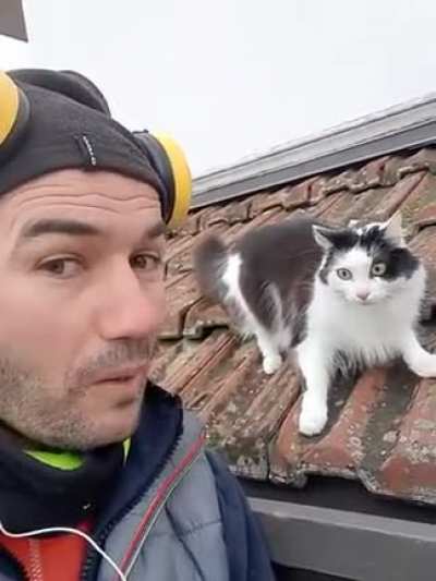 when you manage to speak cat