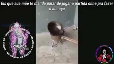 Almo&ccedil;o perfeito e tu&eacute;