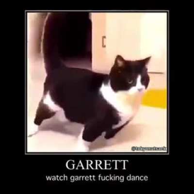 Watch garrett dance