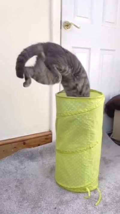 Didn&rsquo;t touch the sides
