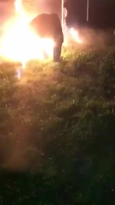 BLYAT
