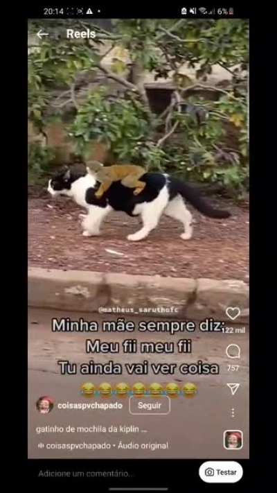 My result after googling "Brazilian ridding a nice pussy"...