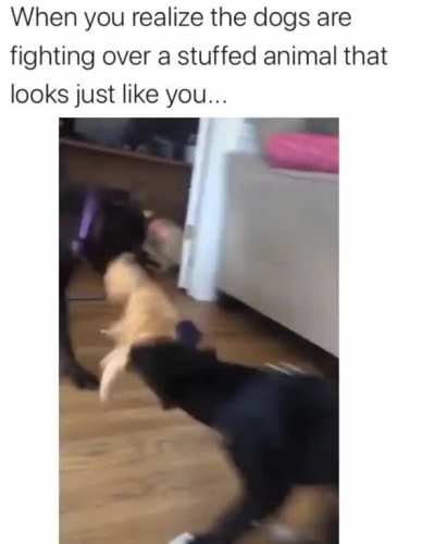 aGeNtS fOrCe CiViLiAn To WaTcH tHeM fIgHt!