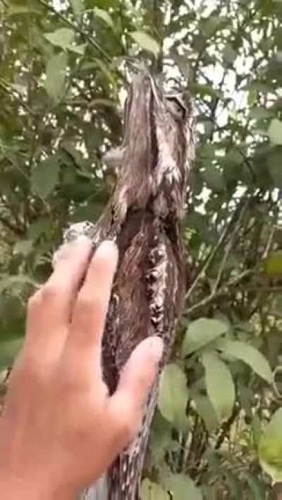 What is it