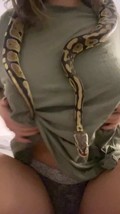 Titty drop&hellip;but with a snake 🤪