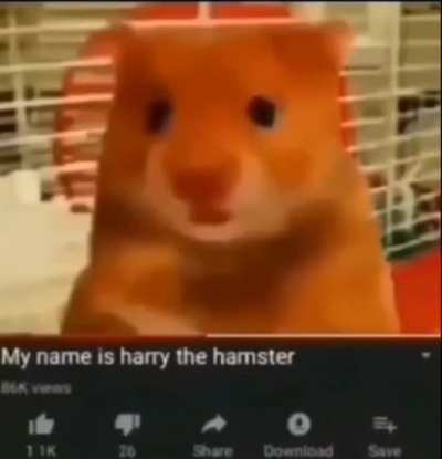 Harry