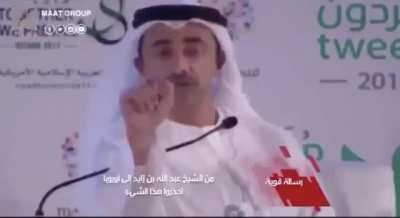UAE foreign minister speaking about reality of radicle islamists (musli&Ntilde; fundamentalists)