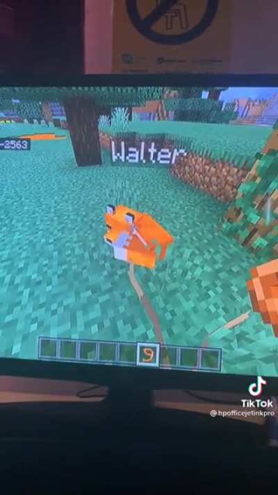 Walter No