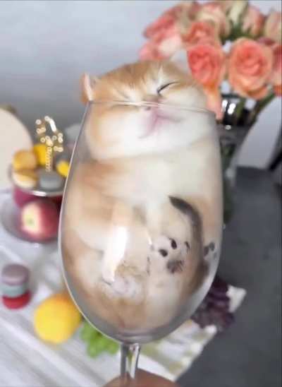 A glass of fluffy won't hurt anyone today