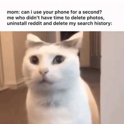 *chuckles* i&rsquo;m in danger