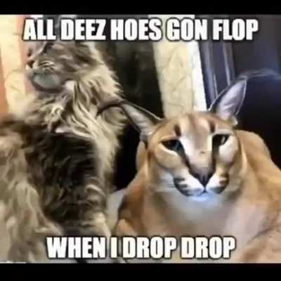 big floppa
