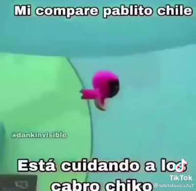 XD