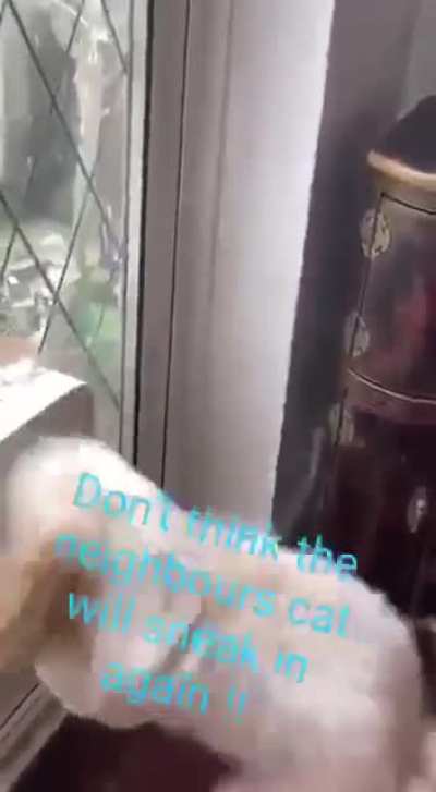Dog has his own way to deal will burglars.