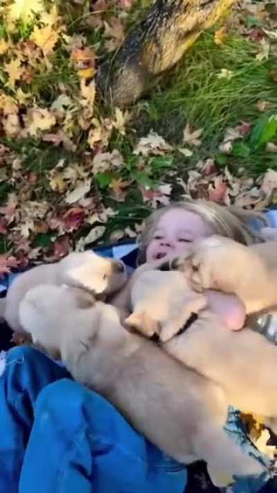 Happiness overload