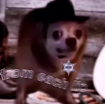 Don&rsquo;t mess with the doggo