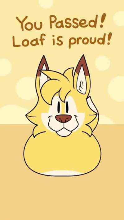vibe_irl