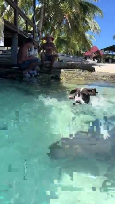 Maybe maybe maybe