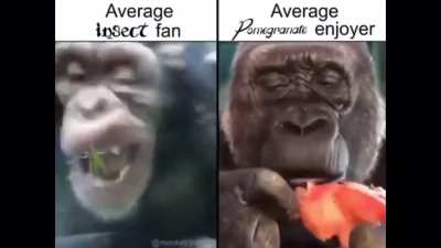 Monke