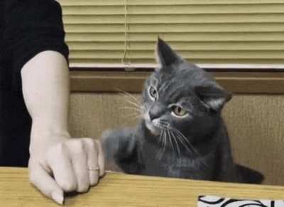touch tha hand