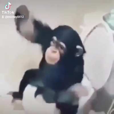 Just give him the banana