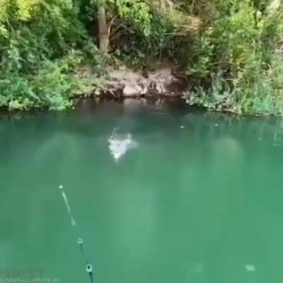 Just another day with me fishing pole there couldn't be anything more peaceful. Right? Right...