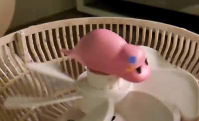 Bocchi the slug spinning on a fan to free bird