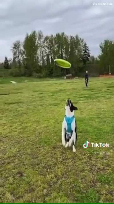 Cut but in slo mo
