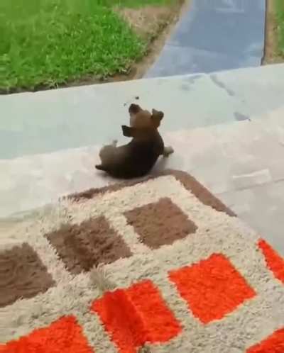 Very unique friendship
