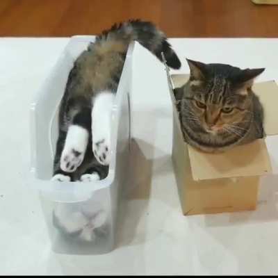 "My life got flipped-turned upside down..."