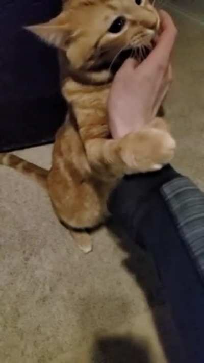 Slow-mo Airplane attack on "The Hand"