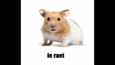 Le Raet