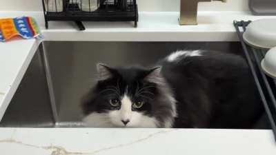 Everything and The Kitchen Sink