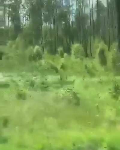 Poor guy
