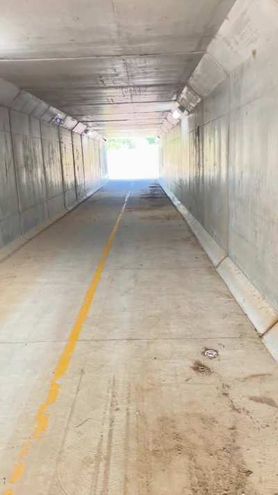 Went for a walk and found this tunnel&hellip;.