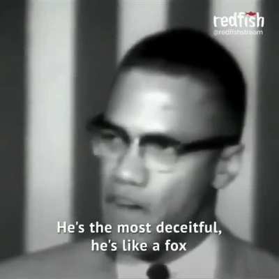 Malcolm X on the danger posed by "white liberals"