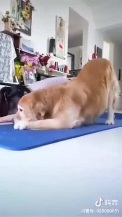 He loves workingout with me
