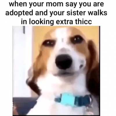 it do be like that