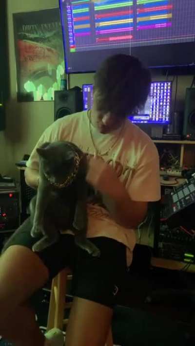 Kitty kat