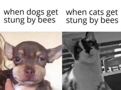 Title