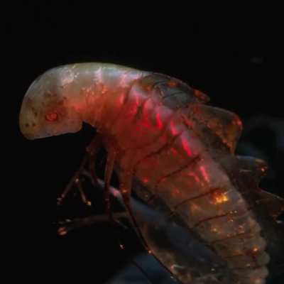 Alien Planet &ndash; Short Film Made with AI