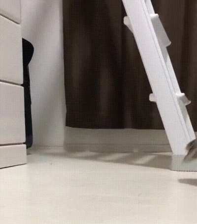 A tiptoeing owl