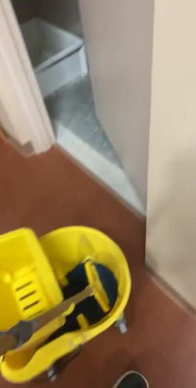 Took this back in February when you could stand a broom up