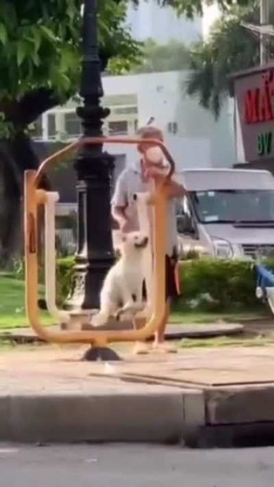 Elderly guy let&rsquo;s his dog enjoy the swing