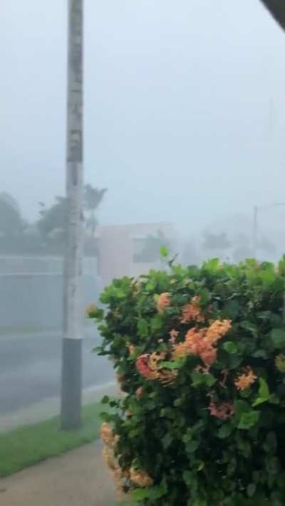 Isa&iacute;as en Mayaguez