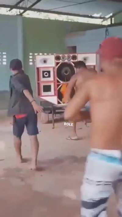 So os bailarinos
