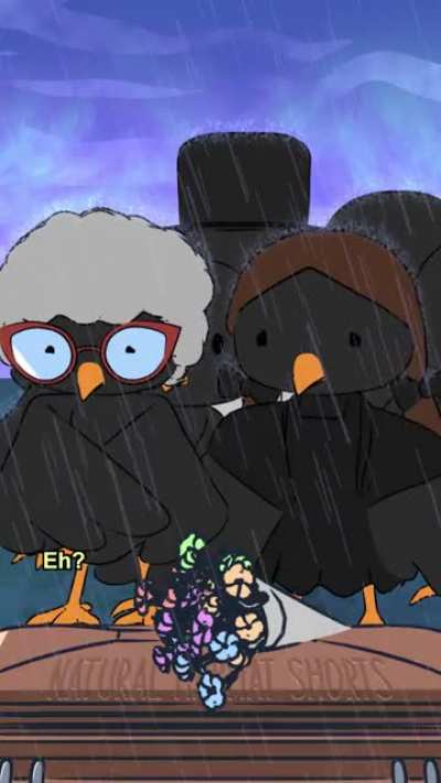 Spooky fact: A group of crows is called a murder, and they are known to hold &ldquo;funerals&rdquo; for other fallen corvids🐧⚰️👻