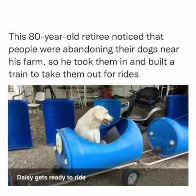 Dog train