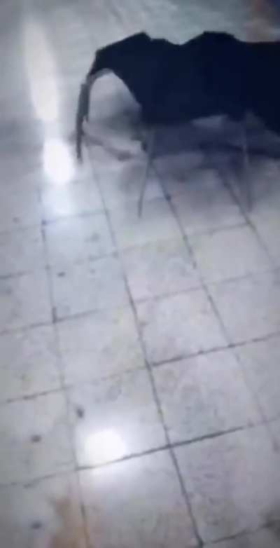 How it feels to play Work at a Pizza Place
